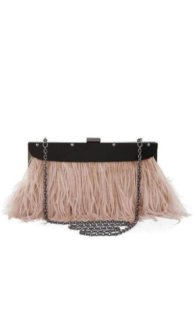 Portia Feather-Trim Lucite Clutch BCBGMAXAZRIA